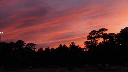[Silhouette of the trees against the orange and blue sky. The clouds are arranged in streaks as if they were strokes of a paintbrush.]